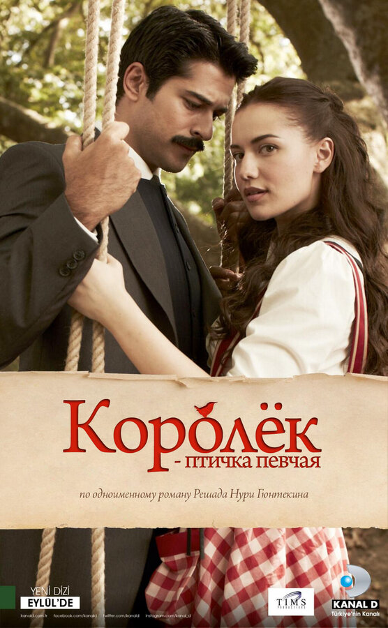 Королёк – птичка певчая - постер сериала